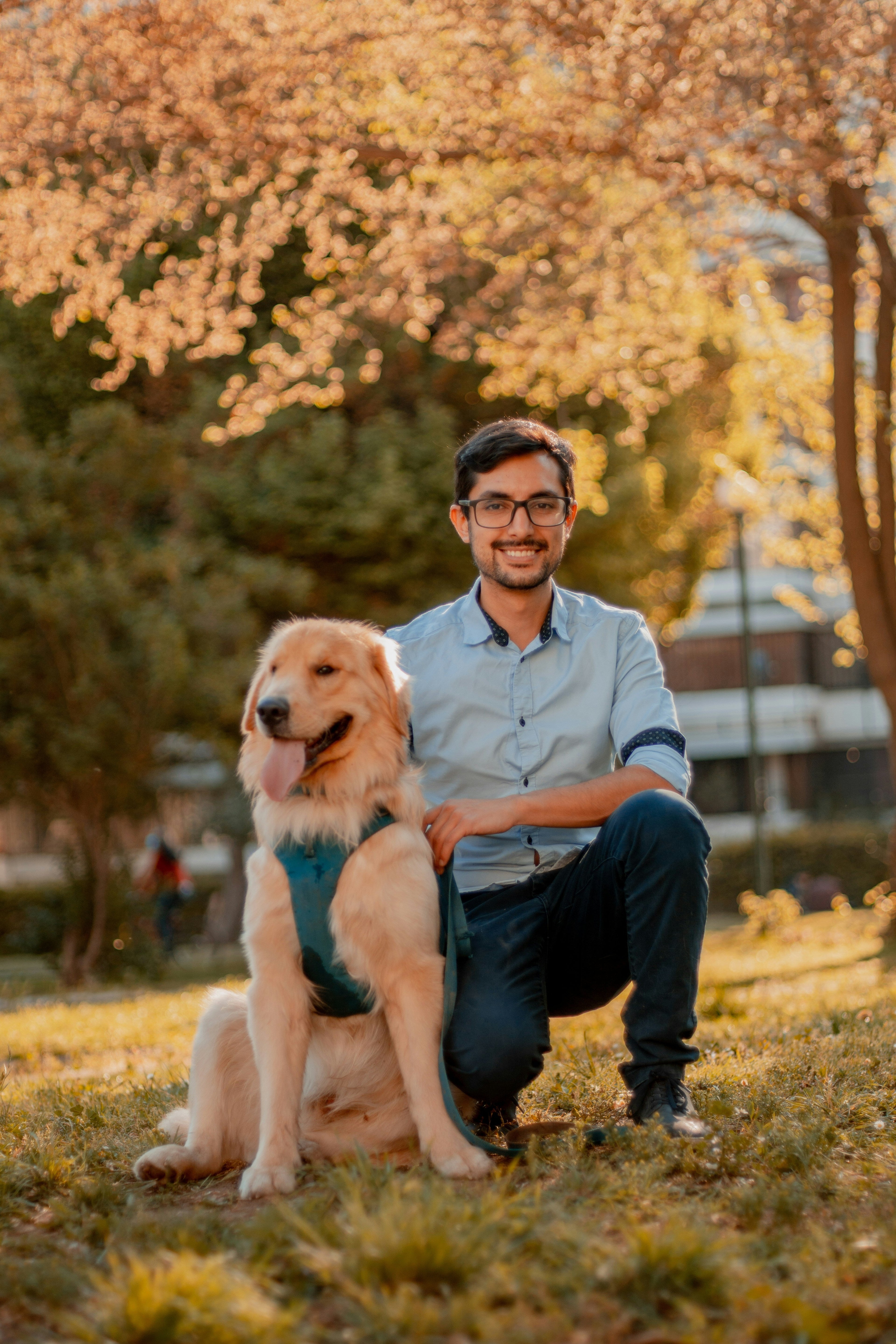 Guides for pets and their owners